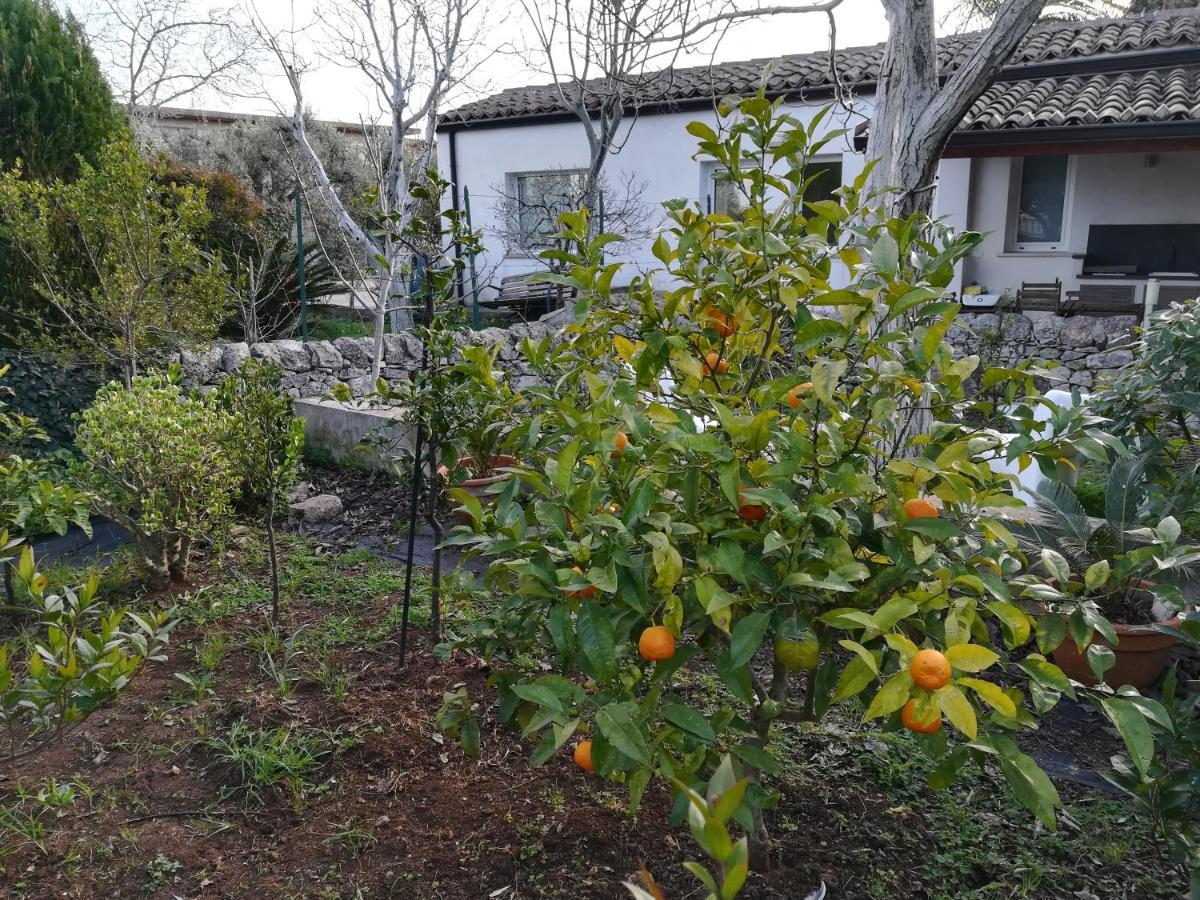 Casa Degli Avi Don Neli, Immersa Nella Natura Modica Eksteriør billede