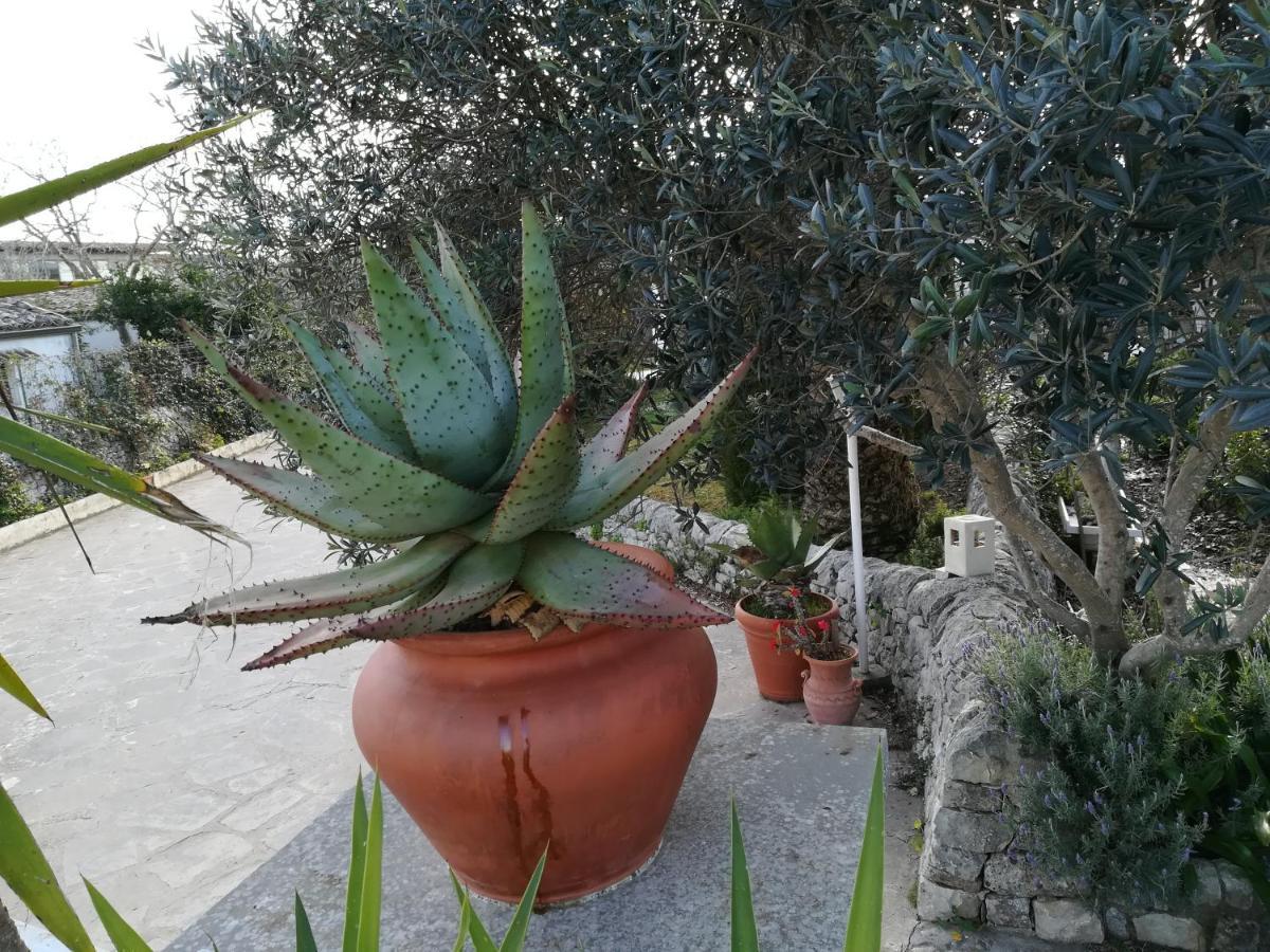 Casa Degli Avi Don Neli, Immersa Nella Natura Modica Eksteriør billede